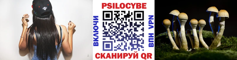 Галлюциногенные грибы Magic Shrooms  площадка телеграм  гидра маркетплейс  Светлый  что такое наркотик 